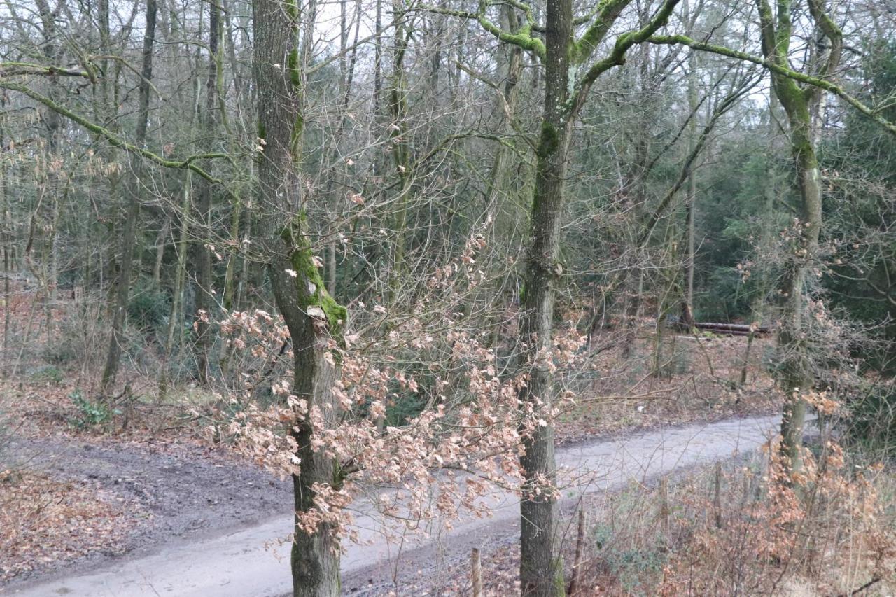 レーンデWijkdアパートメント エクステリア 写真